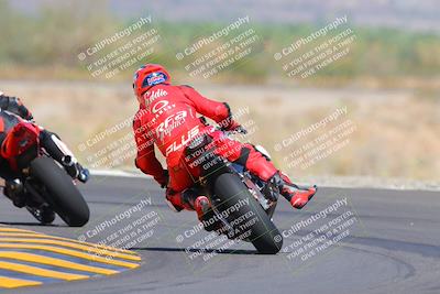 media/Oct-09-2022-SoCal Trackdays (Sun) [[95640aeeb6]]/Turn 14 Backside (1125am)/